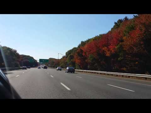 Fall colors 2014, Quincy MA