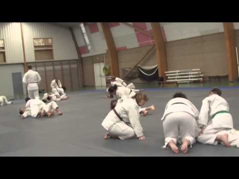 Stage Judo 2015 à LUC SUR MER avec Frédéric DEMONTFAUCON