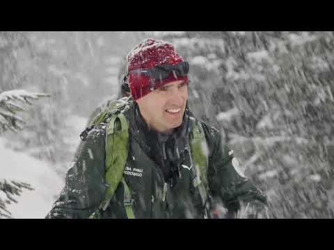 Dzikim Okiem – przebudzenie niedźwiedzi