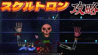 【Terraria】５・マスター・スケルトロン＆ダンジョン攻略！！