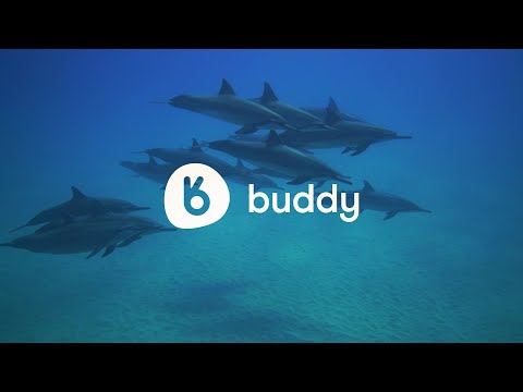 Buddy: Social Dive App