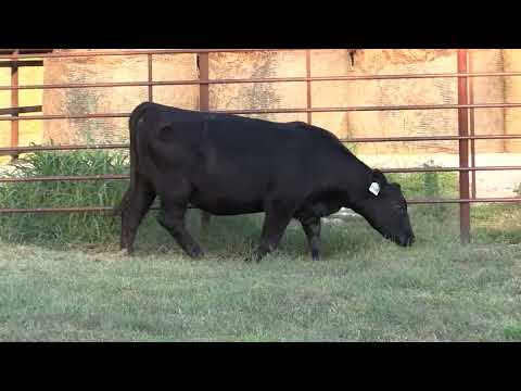 Listing 31788395115-video