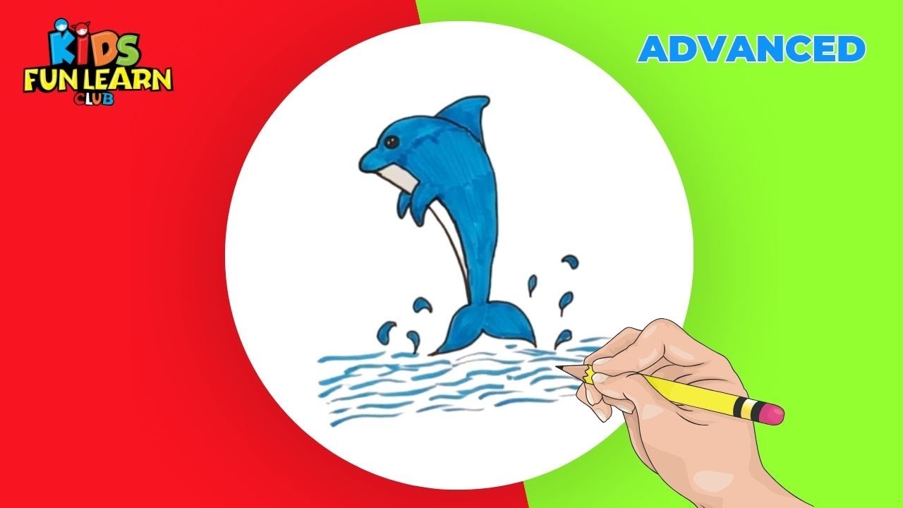 How to Draw a Dolphin Cartoon