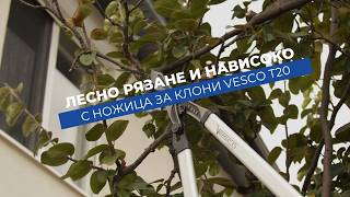 Ножица Vesco T20 - гилотинно рязане с лост за клони до 45 mm