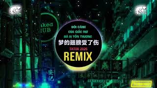 Download lagu 梦的翅膀受了伤 (DJ阿智 Remix) Đôi cánh của giấc mơ đã bị tổn thương (Remix tiktok 2026) mp3