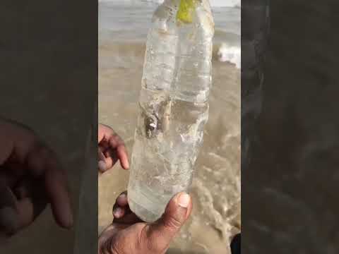 😍🏖️🏖️🌅🌝🌅🥰 #beach #india #travel #odisha#puri#nature