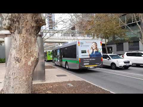 Transperth 3079, 1947 & 1419 at Mounts Bay Rd & William St,Perth CBD