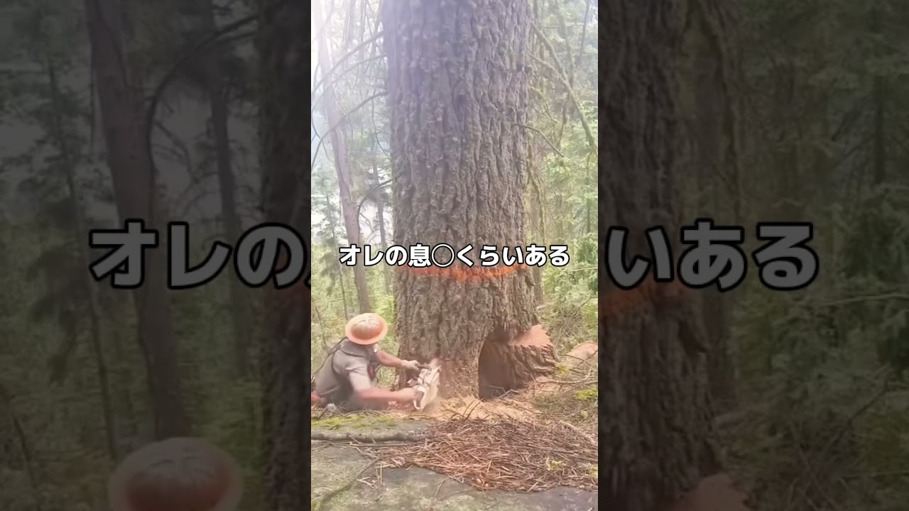 君達には絶対できない仕事を紹介