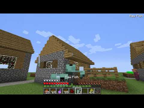 24 Stunden als villiger leben