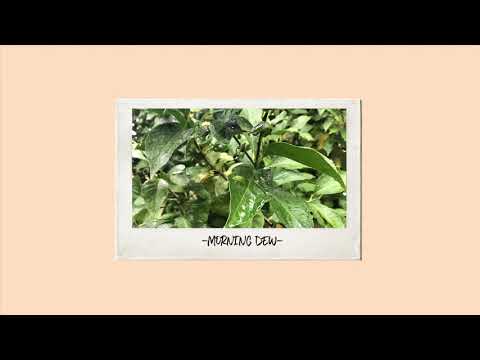 Πάχνη | Ερμής (Morning Dew | Ermis)