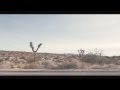 The Tragic Thrills - Everyday 