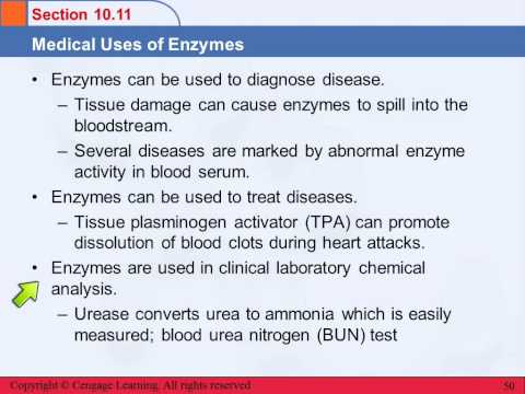 Medical Uses of Enzymes