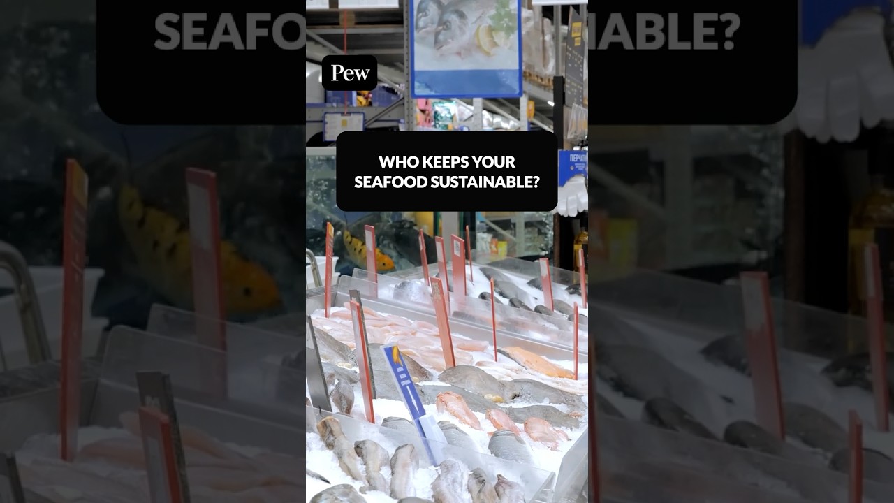 Who’s in charge of keeping your seafood sustainable?