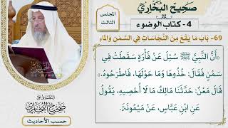 [236] حديث: خذوها وما حولها فاطرحوه [كتاب الوضوء - باب ما يقع من النجاسات في السمن والماء]