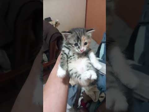 ۶ ژوئن ۲۰۲۵