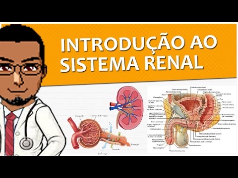 La relazione su alcolismo per la 4a classe Izhevsk una codificazione di clinica narcological da alcolismo
