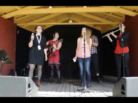 ethno sweden 2013 skansen bollnas croatia