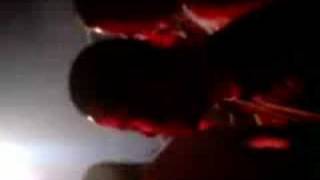 Djoeka lauwtje - Helemaal los