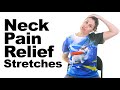 Neck Pain Relief Stretches 5 Minute Real Time Routine
