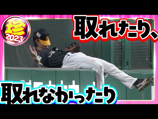 【そんな日もある】取れたり、取れなかったり