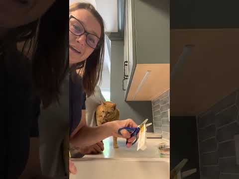 Applying Nexgard Combo topical parasite treatment to a cat named Mittens