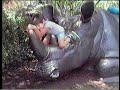 1986 8 3 San Diego Zoo 80 S