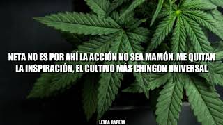 Cartel De Santa - DOCTOR MARIHUANA (LETRA) | Letra Rapera