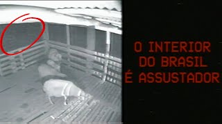 ENCONTROS ASSUSTADORES no INTERIOR DO BRASIL CAPTURADOS POR CÂMERAS