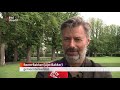 Bomen moeten blijven, zeggen raadsleden Woerden [RTV Utrecht]