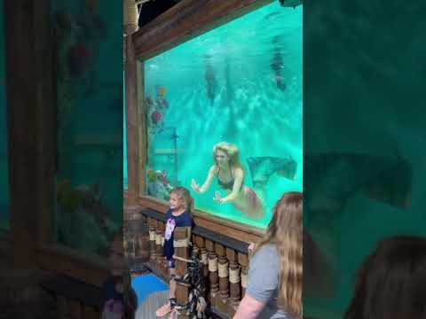 Trending Instagram reel💖viral video/A mermaid and a girl viral video 💖♥️subscribe for more videos