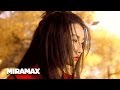 Hero Fallen Masters Falling Leaves HD Maggie Cheung Ziyi Zhang MIRAMAX