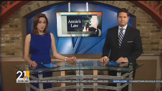 Local News Report on Annie's Law