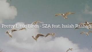 SZA - Pretty Little Birds (lyrics)