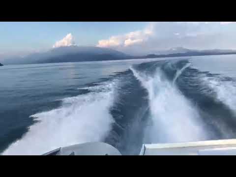 PERFORMACE 1407 for sale