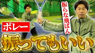 【ボレーが良くなる】ボレーは振って良し！9割の人が勘違いしているボレーの振り方〈ぬいさんぽテニス（Tennis）〉