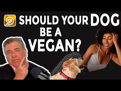 Vegan Dog Diet Is Healthiest???