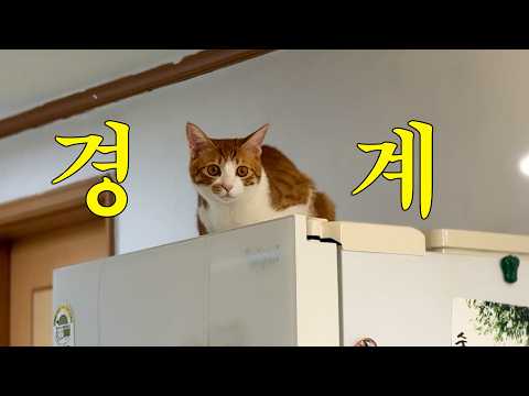 Image 9879