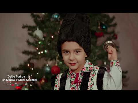 Ion Glodea & Diana Calancea - Dalbe flori de măr