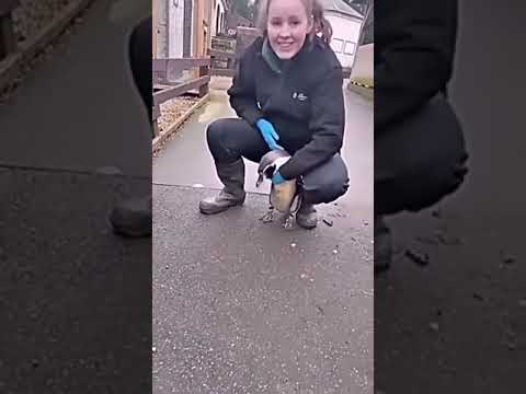 #youtubeshorts #viralreels 🥰🥰