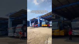 Download lagu Terminal Arjosari Malang #malang #malanghits #malangjatim #kotabatu #bromo #gunungbromo mp3