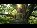 Buddha's Flute Music | Heart's Awaking