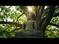 Buddha S Flute Music Heart S Awaking