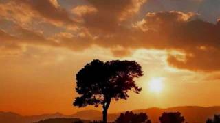 Solitude Aeturnus - Concern