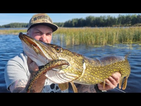 BB Custom Rods on Tour #1 - Sweden, September 2021