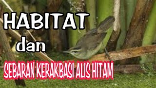 Download lagu HABITAT KERAK BASI ALIS HITAM !!! mp3