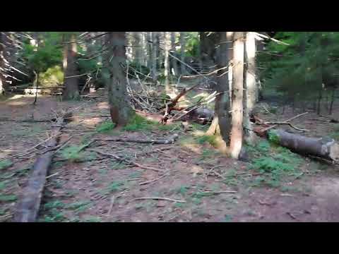 Căminul Alpin - Vf Bucsoiu. Zona preistorica