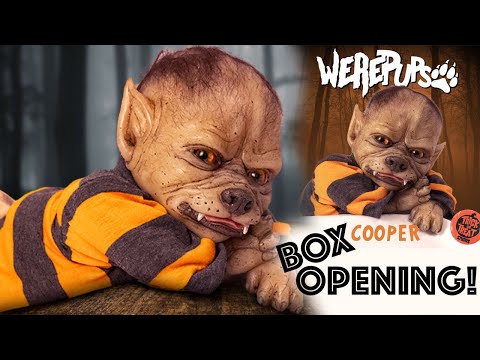 Meet Wolfrick 🐾 * COOPER WerePup from Trick-or-Treat Studios * | heytherespookyface