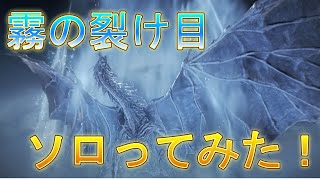 「エルデンリングナイトレイン」　トロコン記念にソロ攻略した！！「霧の裂け目」