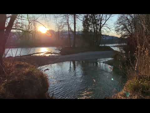 River Aare Muri bei Bern Switzerland