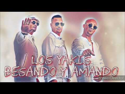 LOS YAKIS REMIX 2022 - BESANDO Y AMANDO DJ SaLsErO